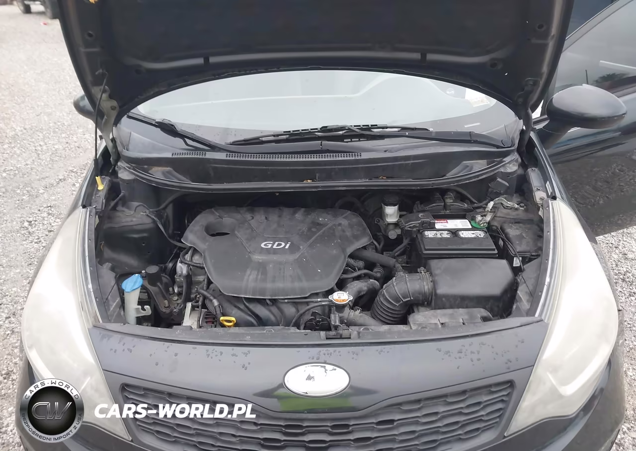2014 Kia Rio Lx VIN:KNADM4A38E6396430 - 10