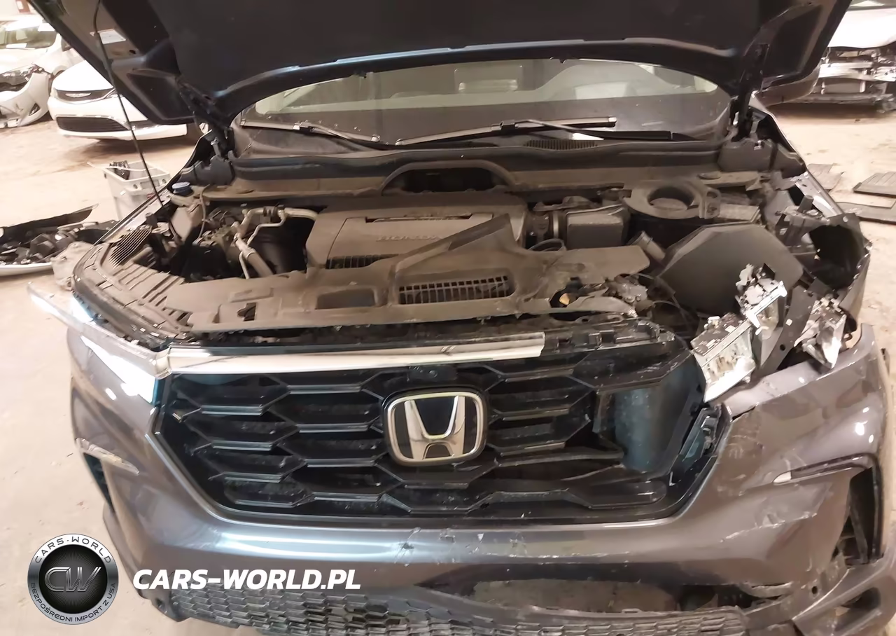 2023 Honda Pilot Awd Elite VIN:5FNYG1H89PB040619 - 10