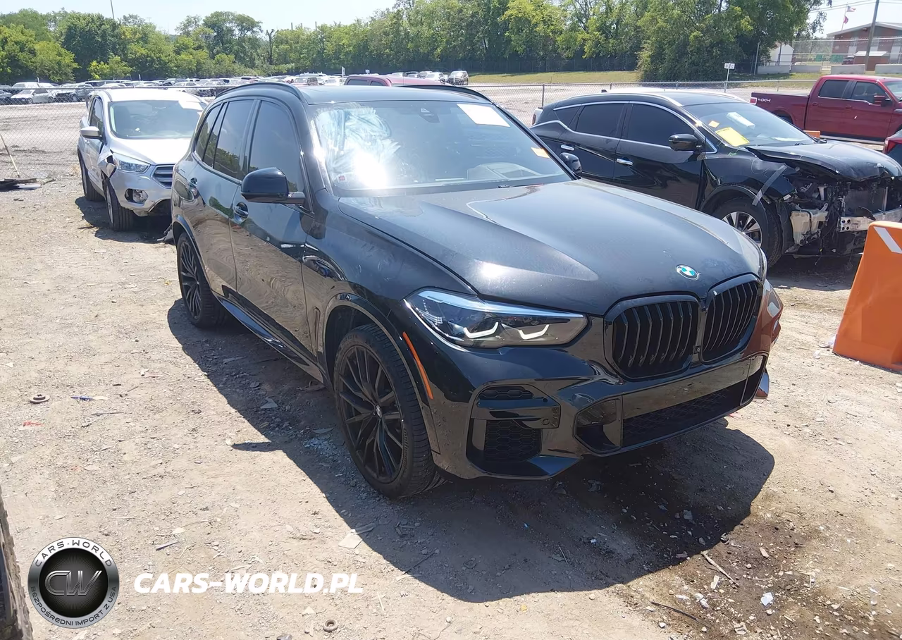 2023 BMW X5 Sdrive40I – zdjęcie 1 z 17