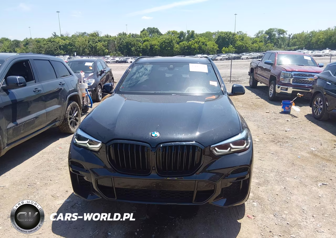 2023 BMW X5 Sdrive40I VIN:5UXCR4C0XP9R20518 - 13