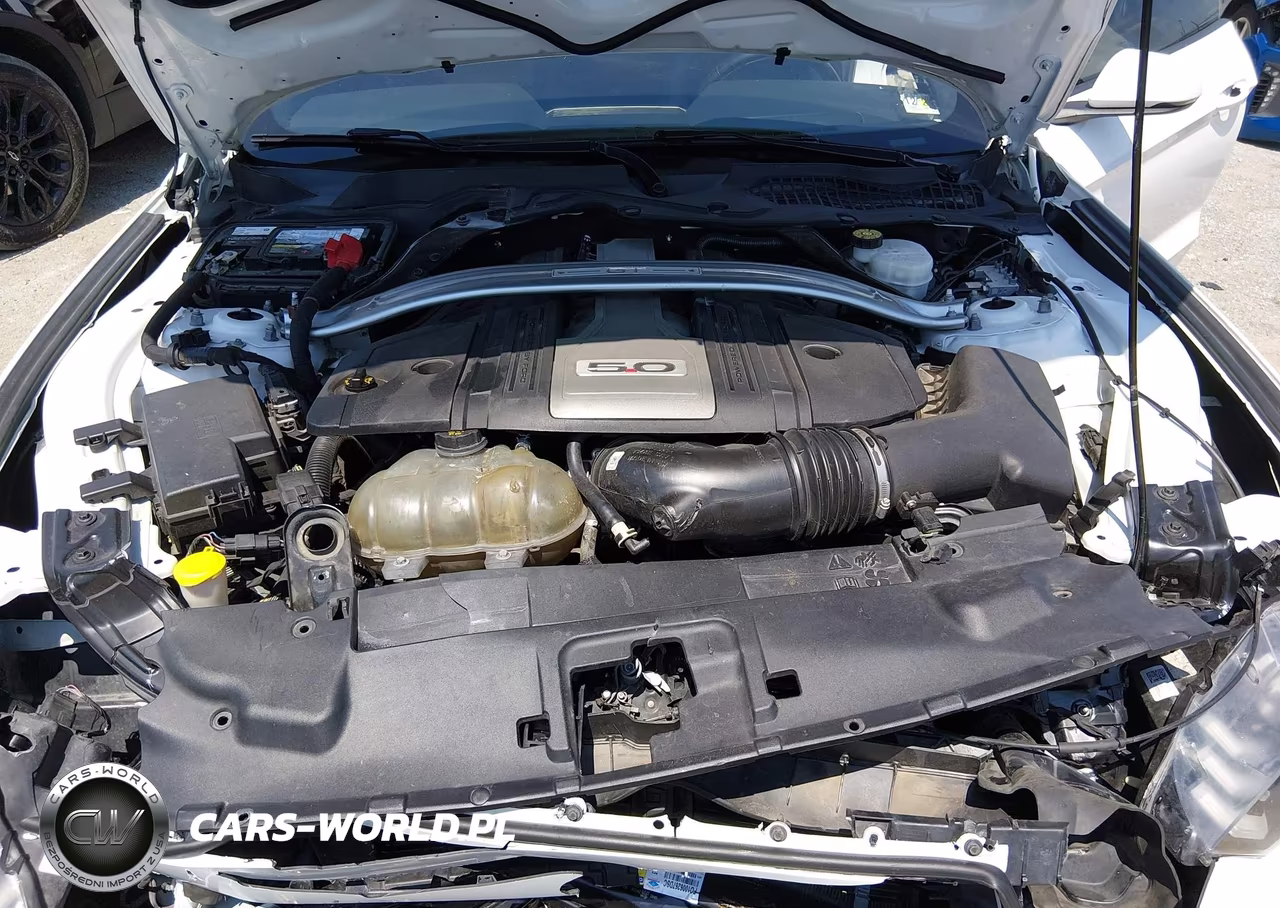 FORD MUSTANG GT VIN:1FATP8FFXK5149420 - 10