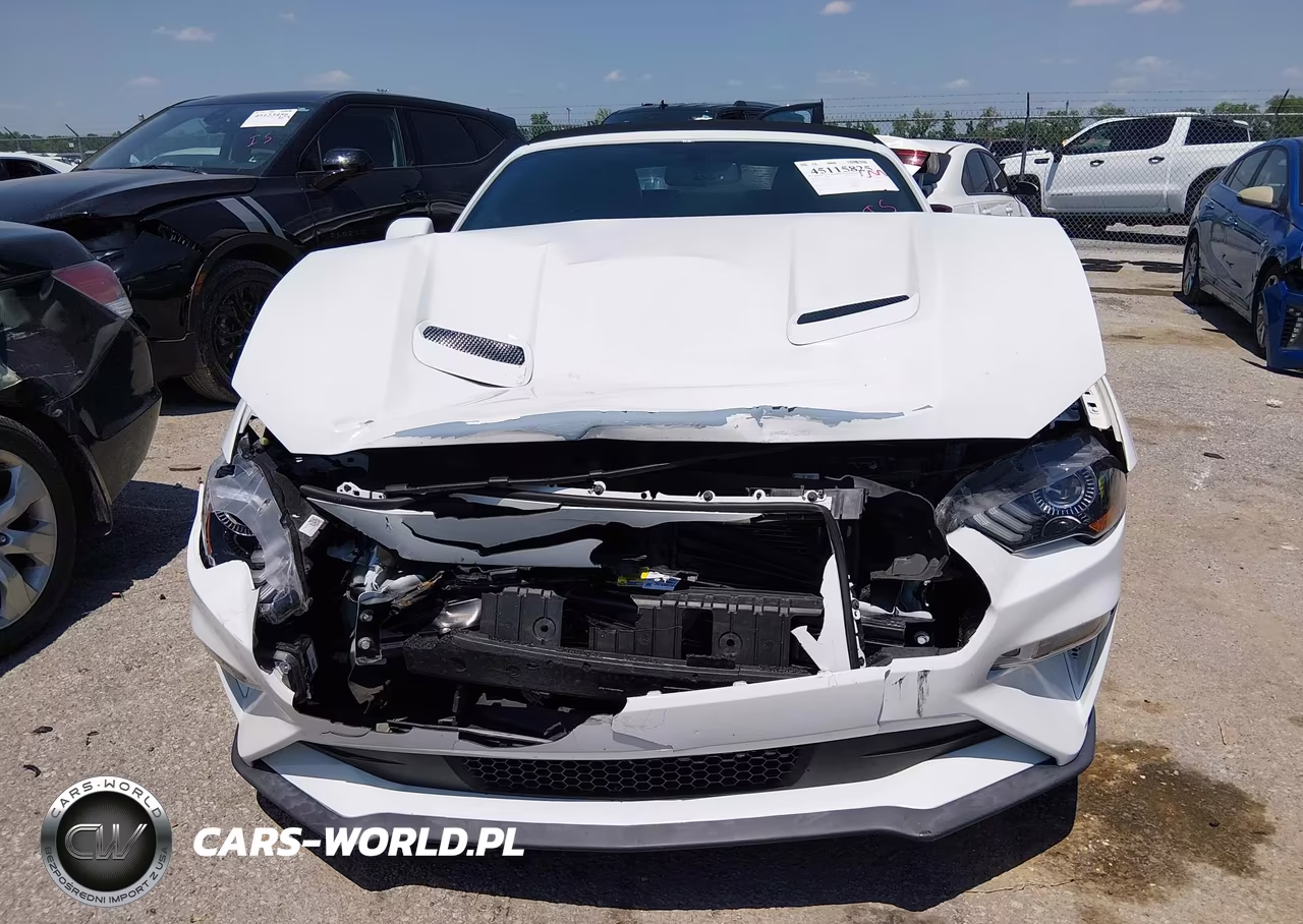 FORD MUSTANG GT VIN:1FATP8FFXK5149420 - 13