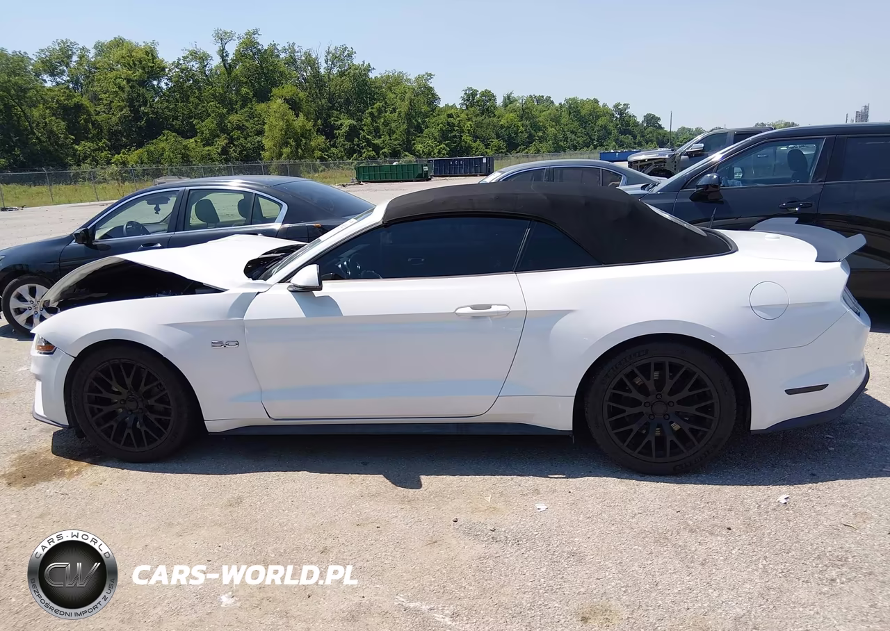FORD MUSTANG GT VIN:1FATP8FFXK5149420 - 15
