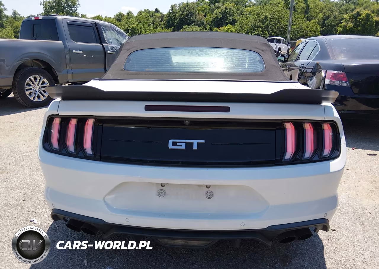 FORD MUSTANG GT VIN:1FATP8FFXK5149420 - 17