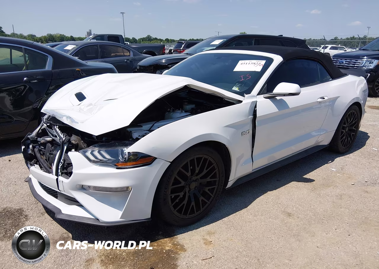 FORD MUSTANG GT VIN:1FATP8FFXK5149420 - 2