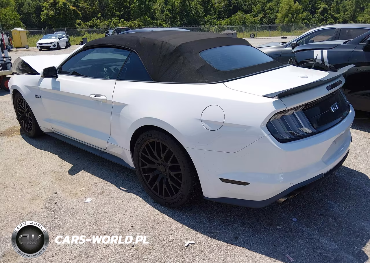 FORD MUSTANG GT VIN:1FATP8FFXK5149420 - 3