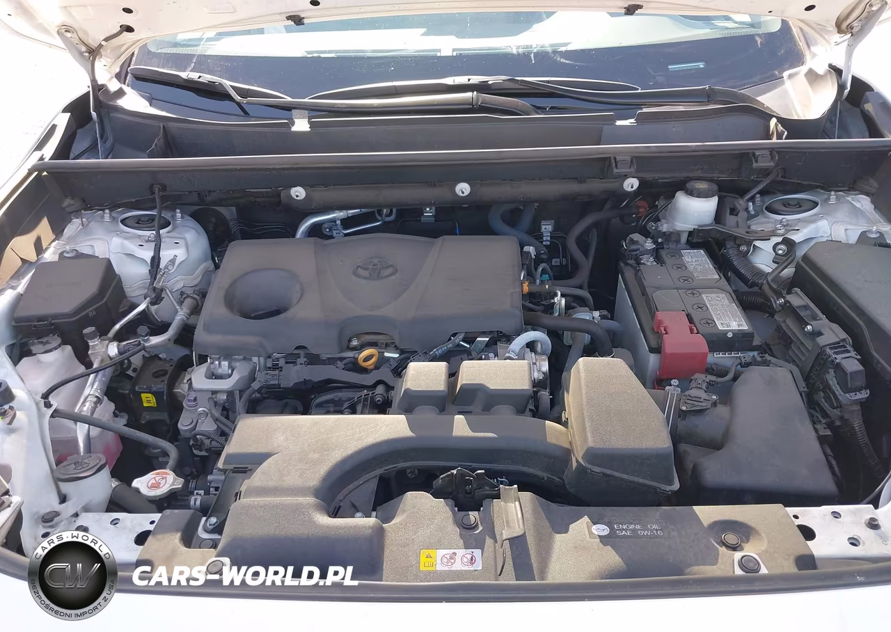 2023 Toyota Rav4 Xle VIN:2T3W1RFV8PW240742 - 10