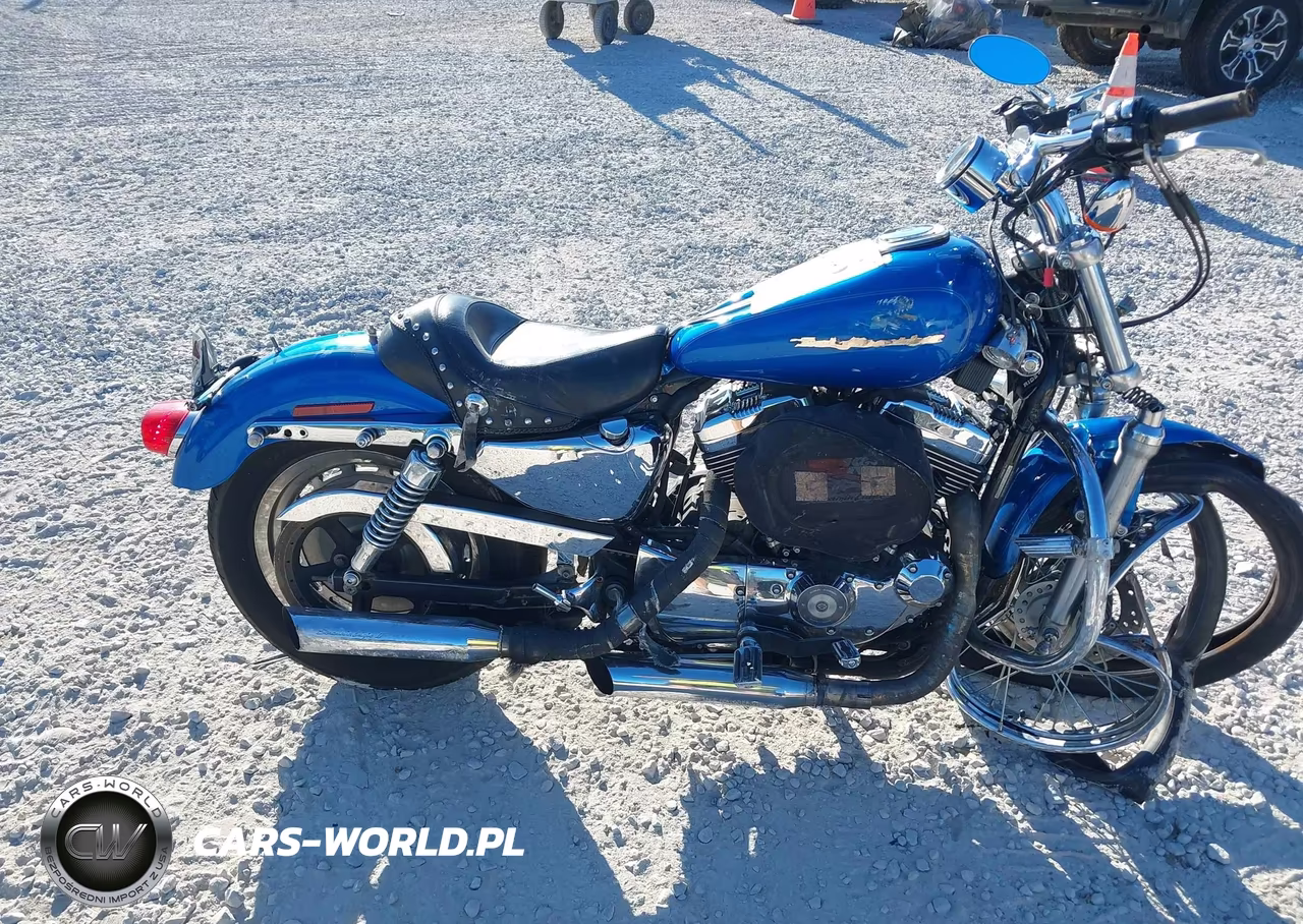 2004 Harley-Davidson Xl1200 C VIN:1HD1CGP154K430604 - 12