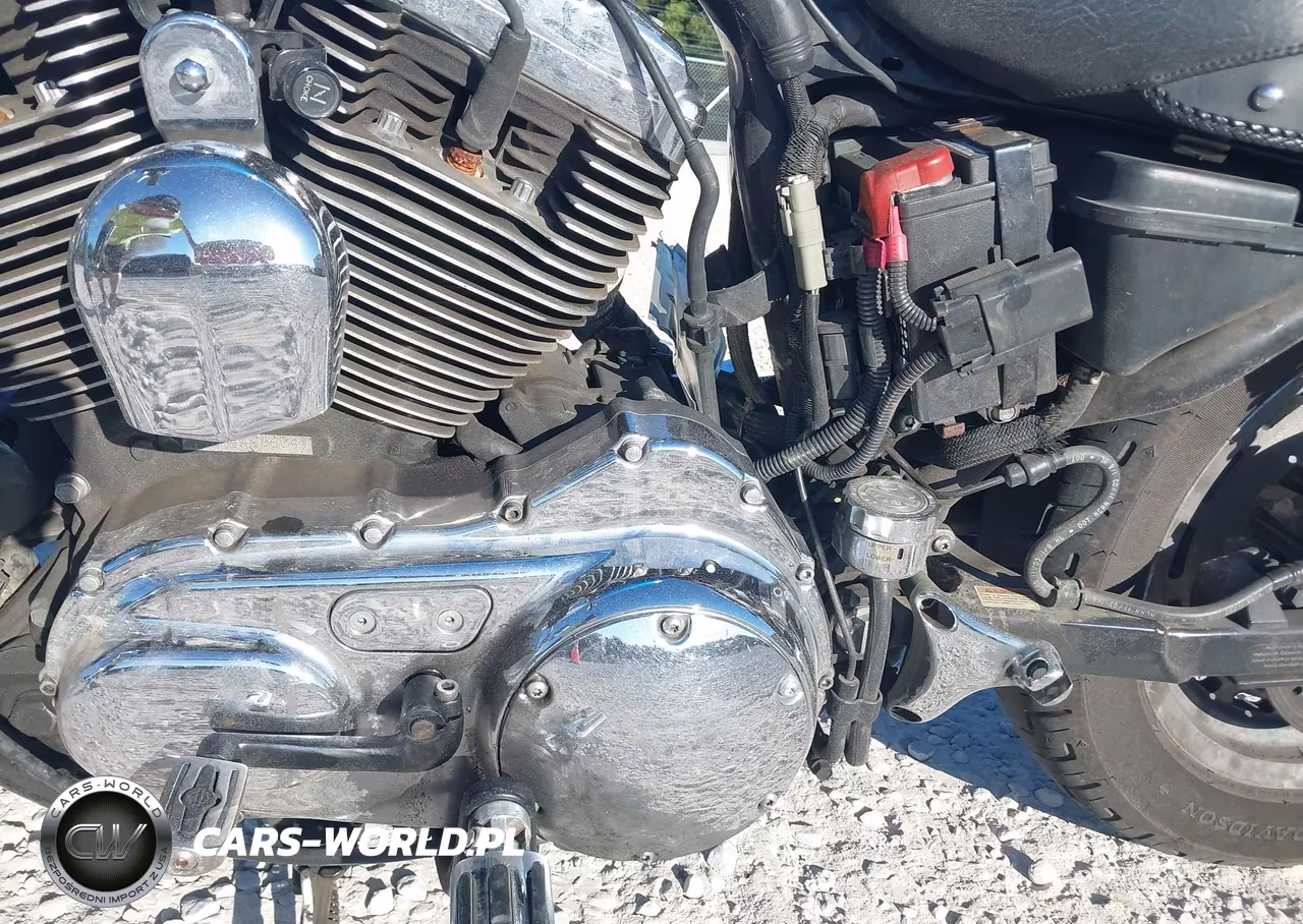 2004 Harley-Davidson Xl1200 C VIN:1HD1CGP154K430604 - 9