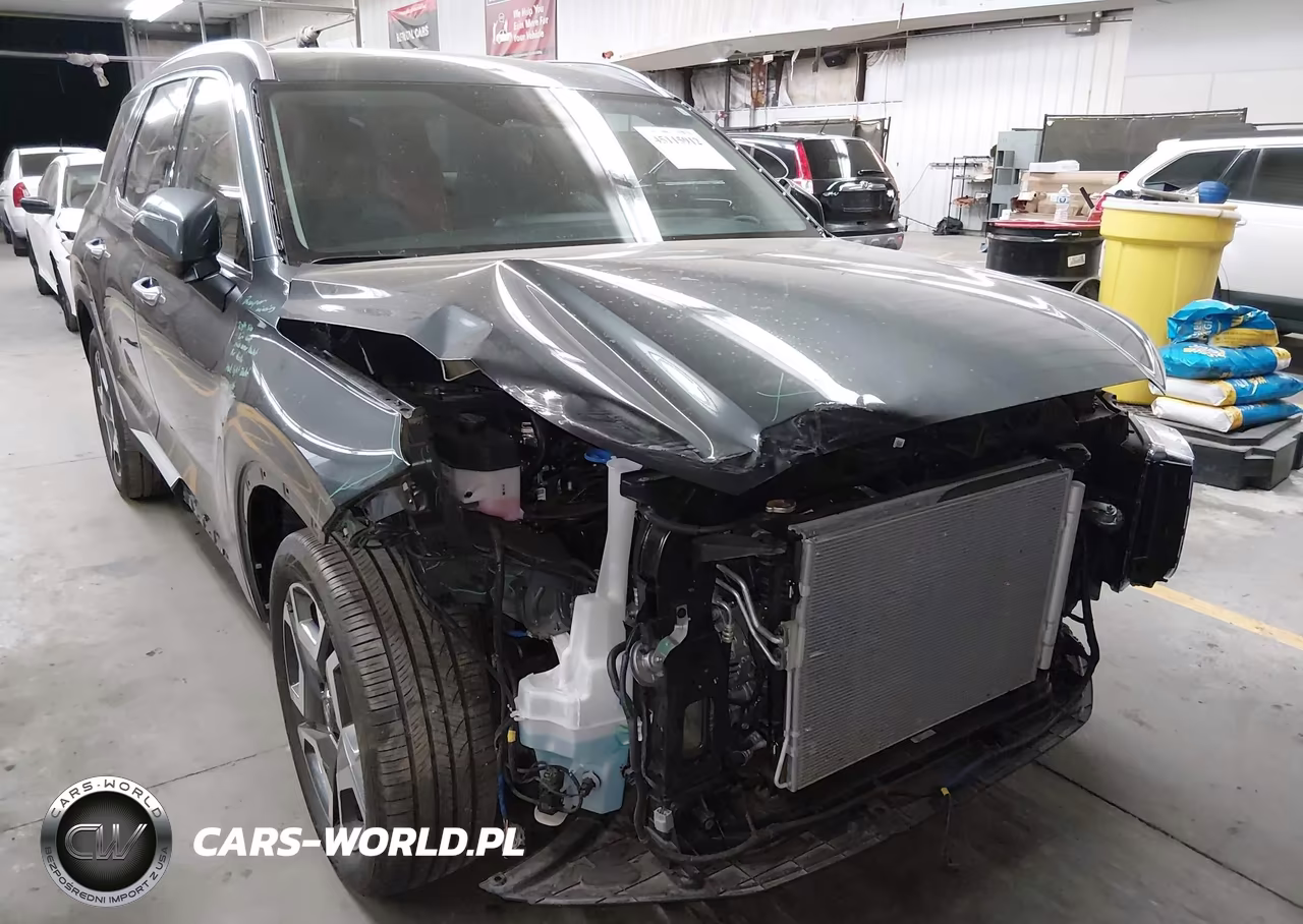 2025 Hyundai Palisade Sel Premium 8P VIN:KM8R44GE9SU916588 - 6