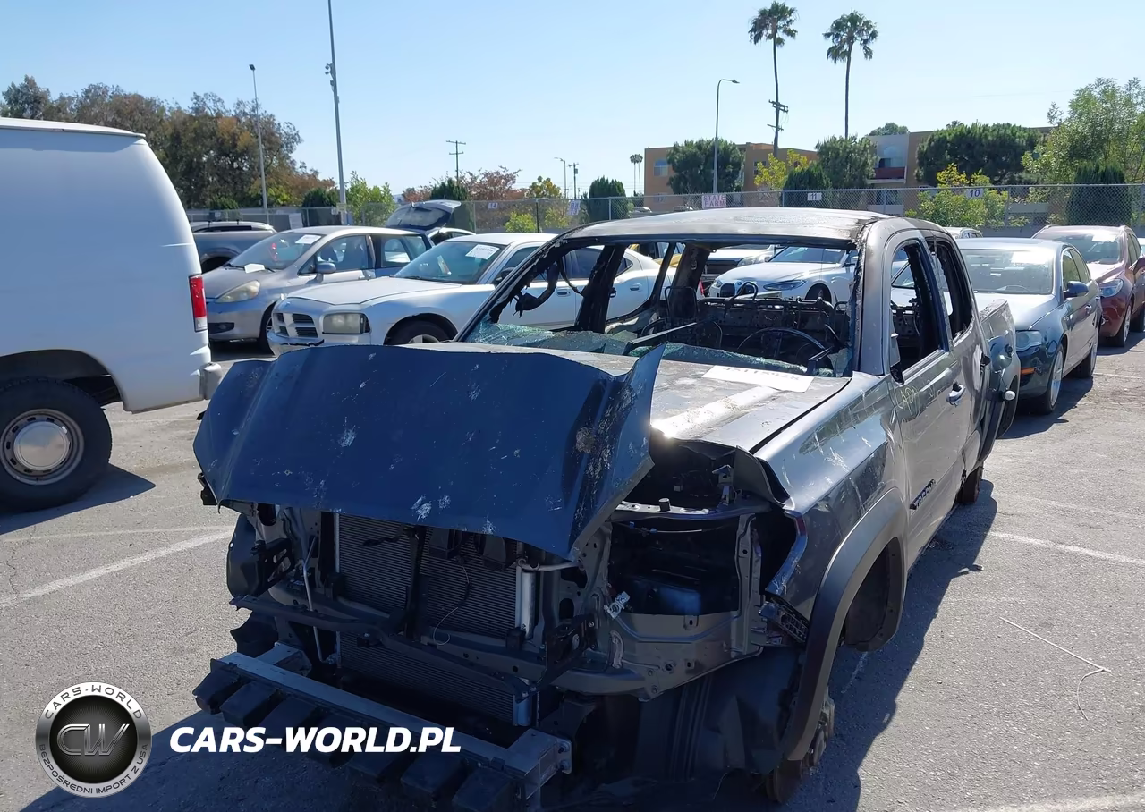 2023 Toyota Tacoma Trd Off Road VIN:3TYCZ5AN3PT173159 - 6