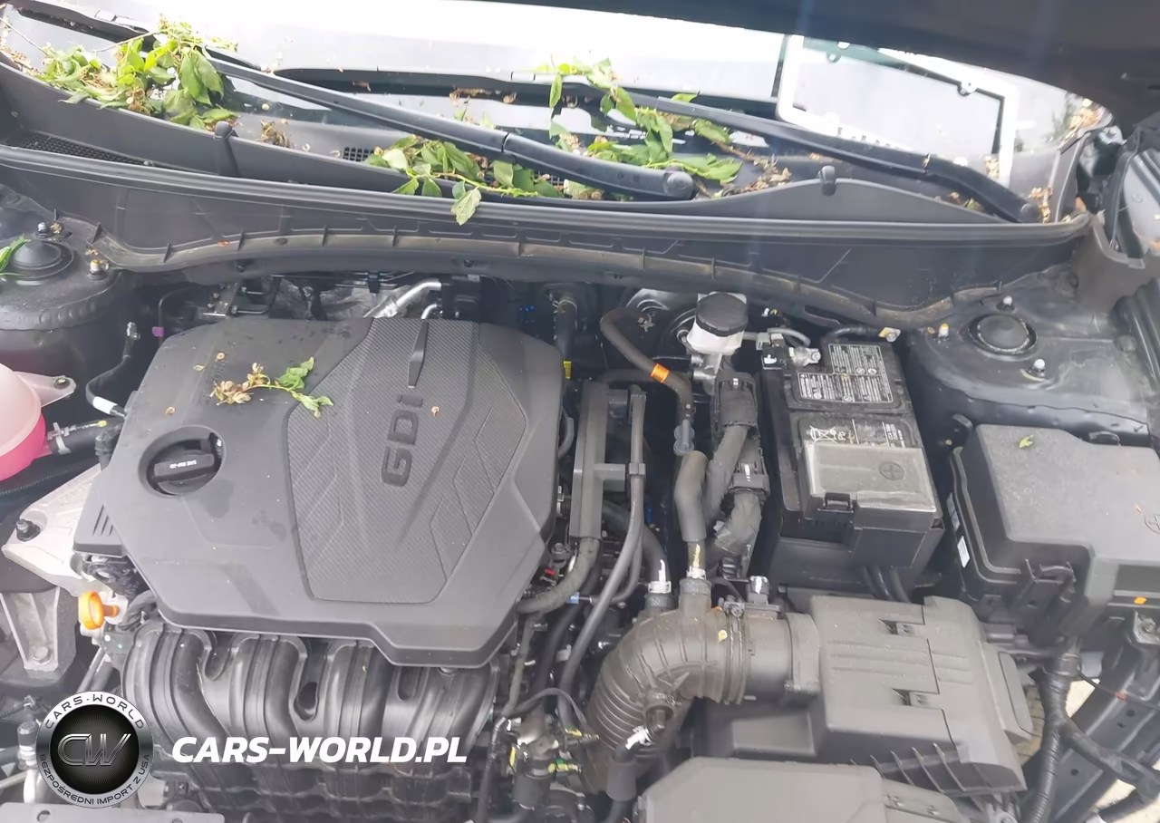 2025 Hyundai Tucson Sel Convenience VIN:5NMJCCDE9SH463292 - 10