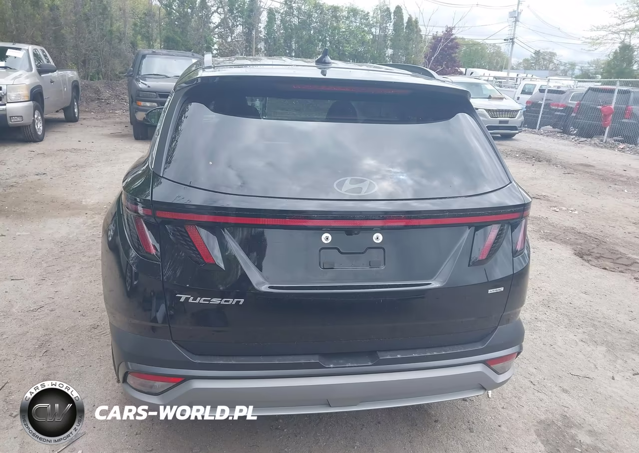 2025 Hyundai Tucson Sel Convenience VIN:5NMJCCDE9SH463292 - 17