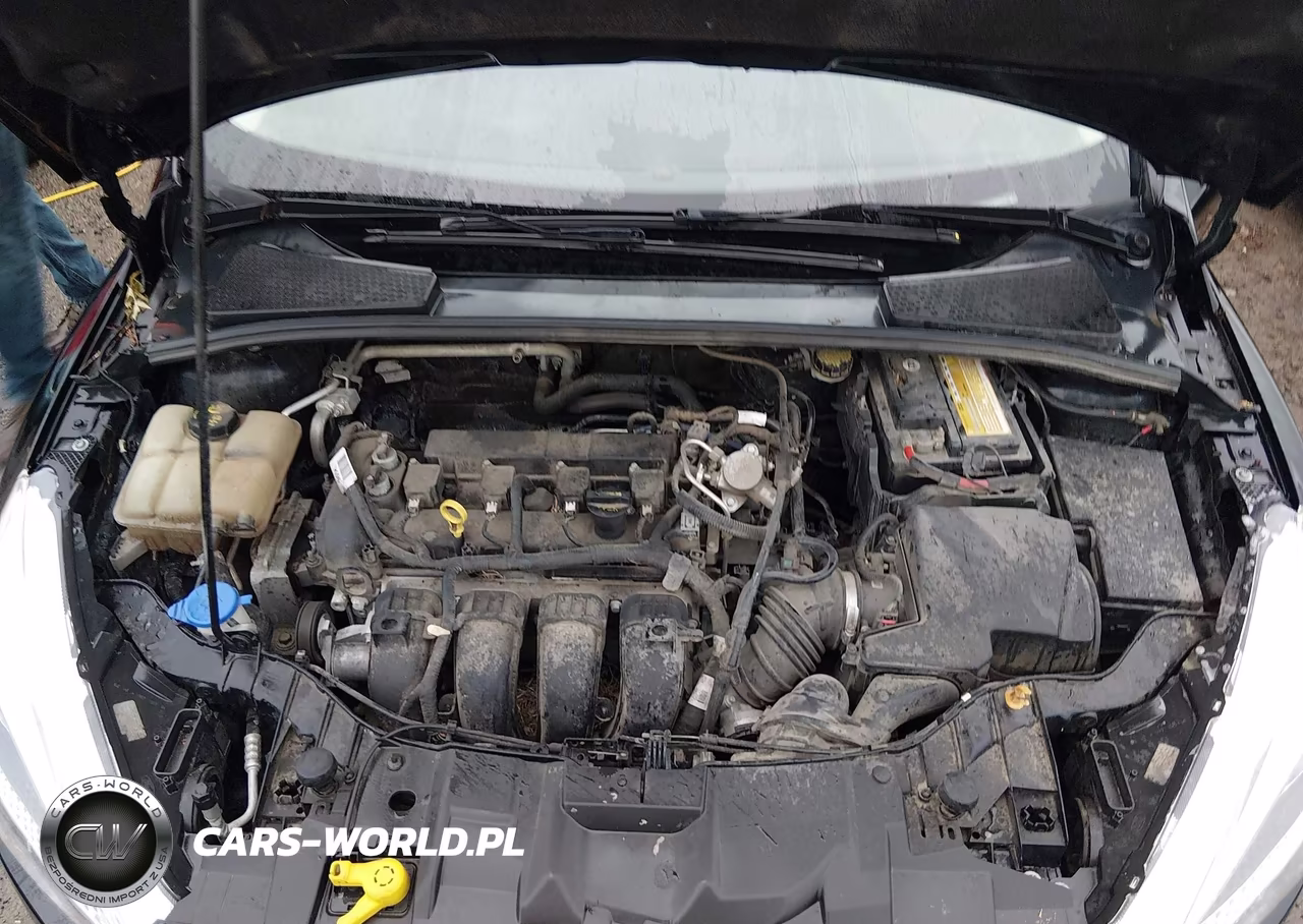 2016 Ford Focus Se VIN:1FADP3F22GL208614 - 10