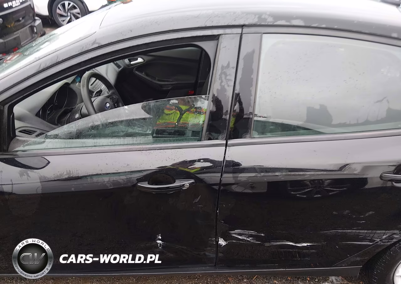 2016 Ford Focus Se VIN:1FADP3F22GL208614 - 14