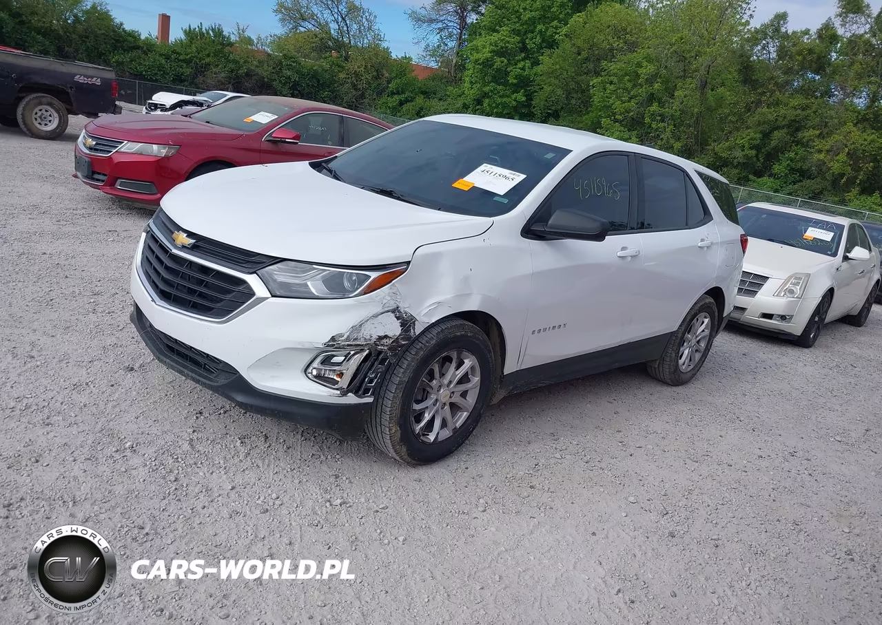 2019 Chevrolet Equinox Ls VIN:3GNAXHEV1KS648775 - 2