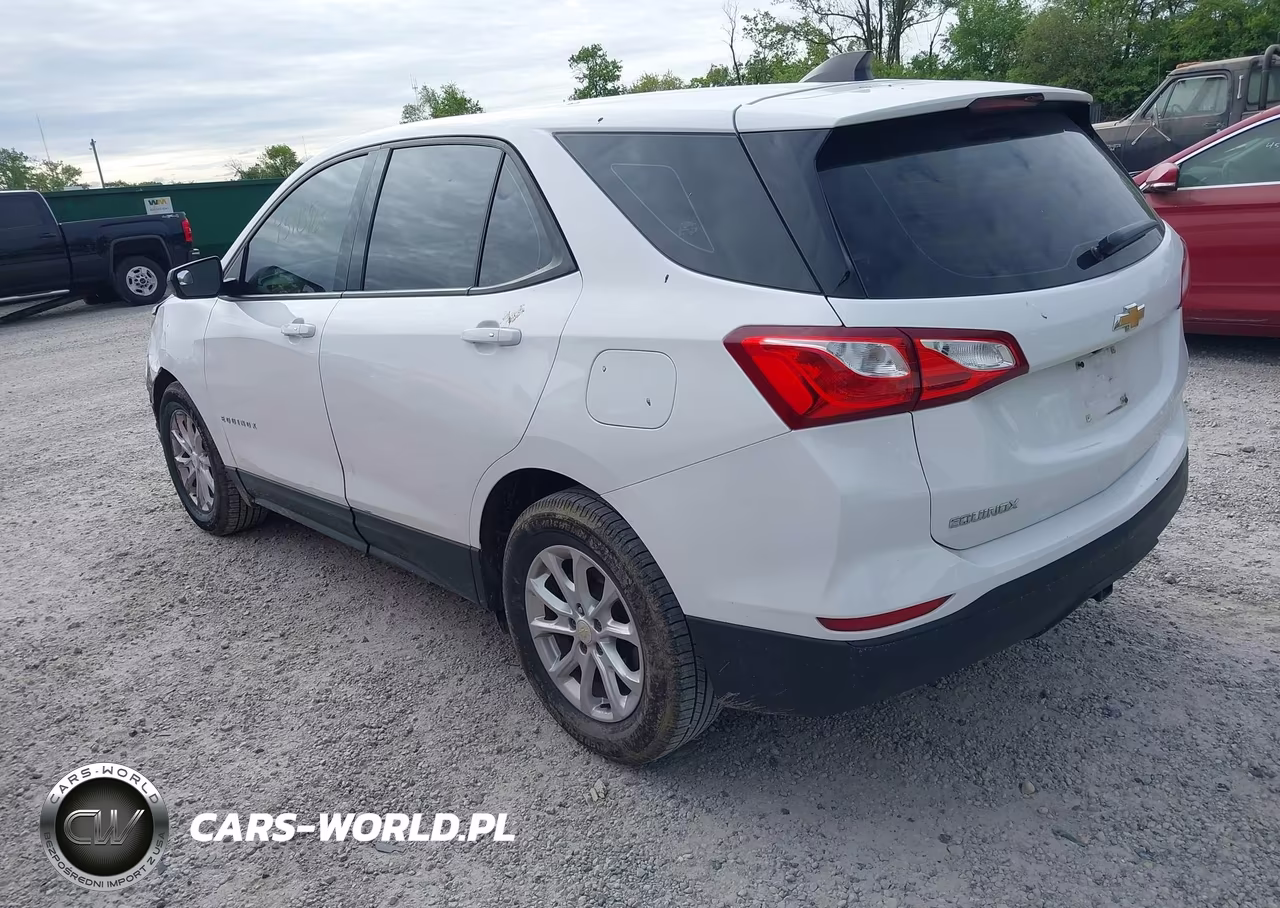 2019 Chevrolet Equinox Ls VIN:3GNAXHEV1KS648775 - 3
