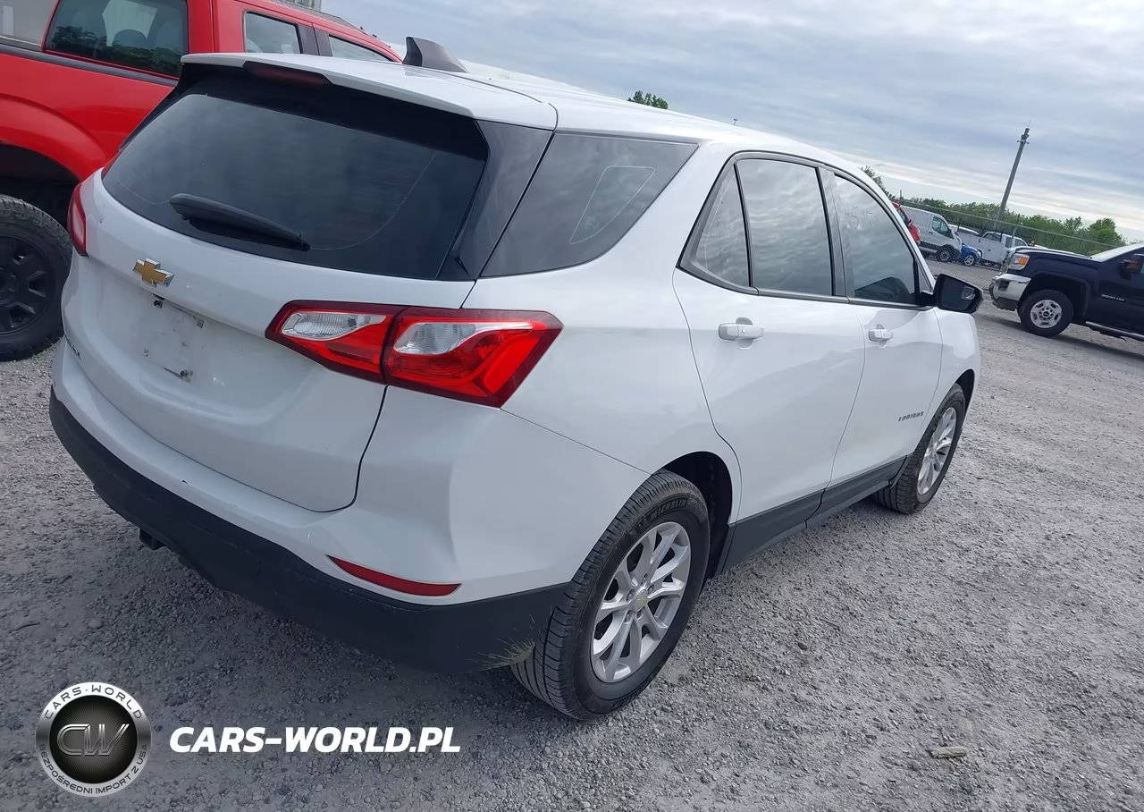 2019 Chevrolet Equinox Ls VIN:3GNAXHEV1KS648775 - 4