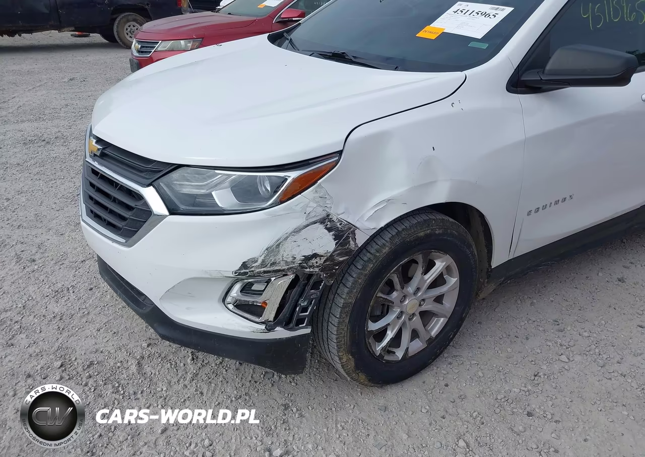 2019 Chevrolet Equinox Ls VIN:3GNAXHEV1KS648775 - 6