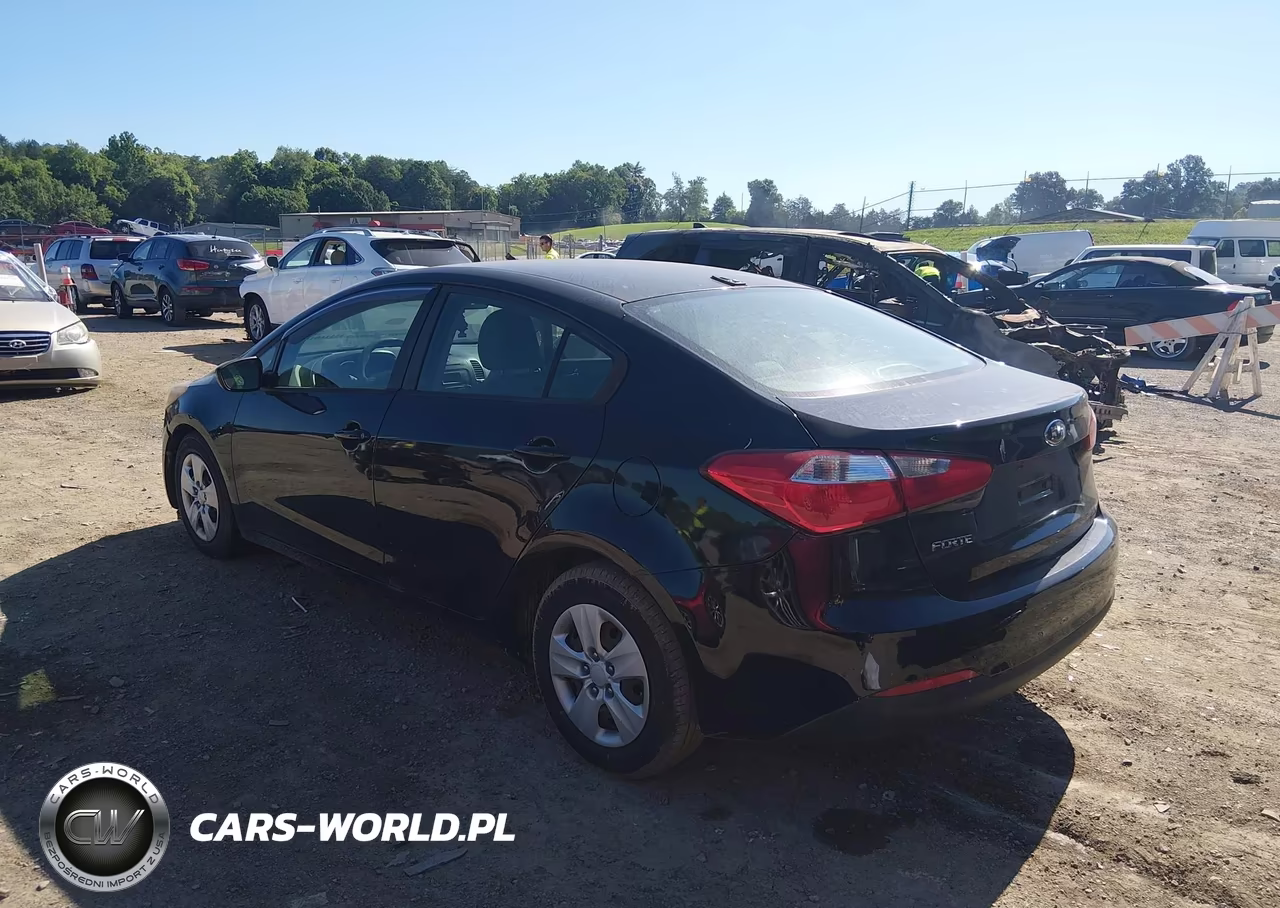 2015 Kia Forte Lx VIN:KNAFK4A61F5409762 - 3