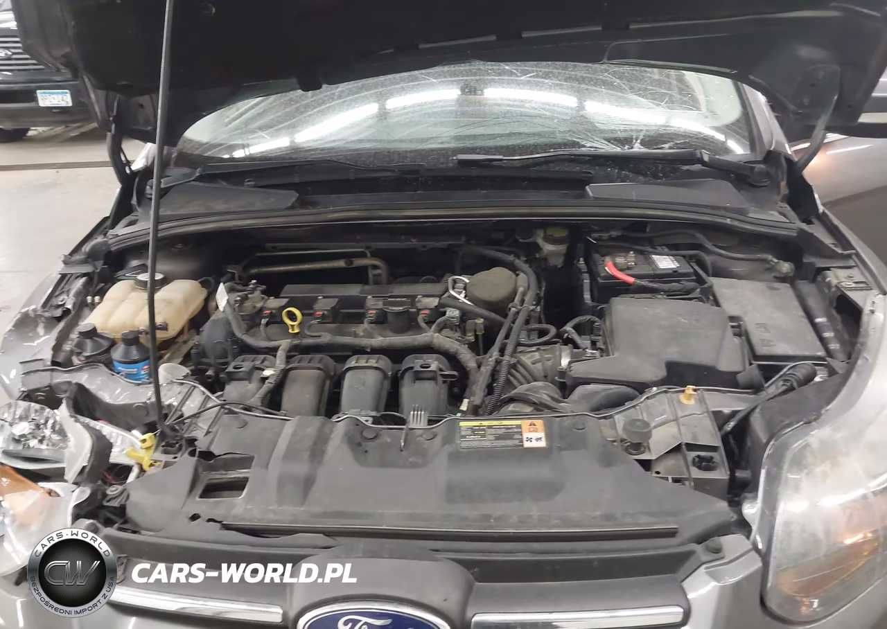 2013 Ford Focus Titanium VIN:1FADP3N21DL184268 - 10