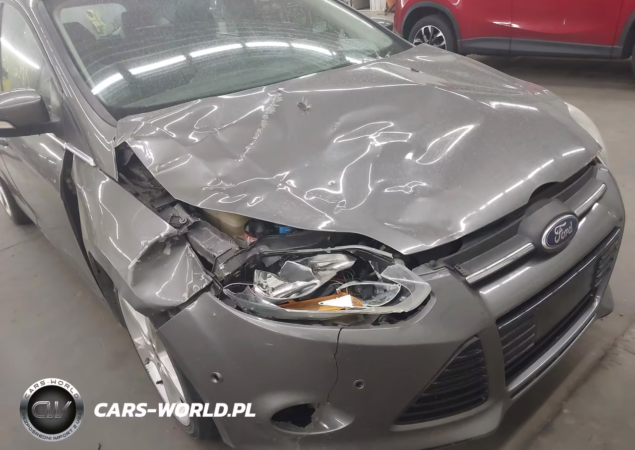 2013 Ford Focus Titanium VIN:1FADP3N21DL184268 - 6