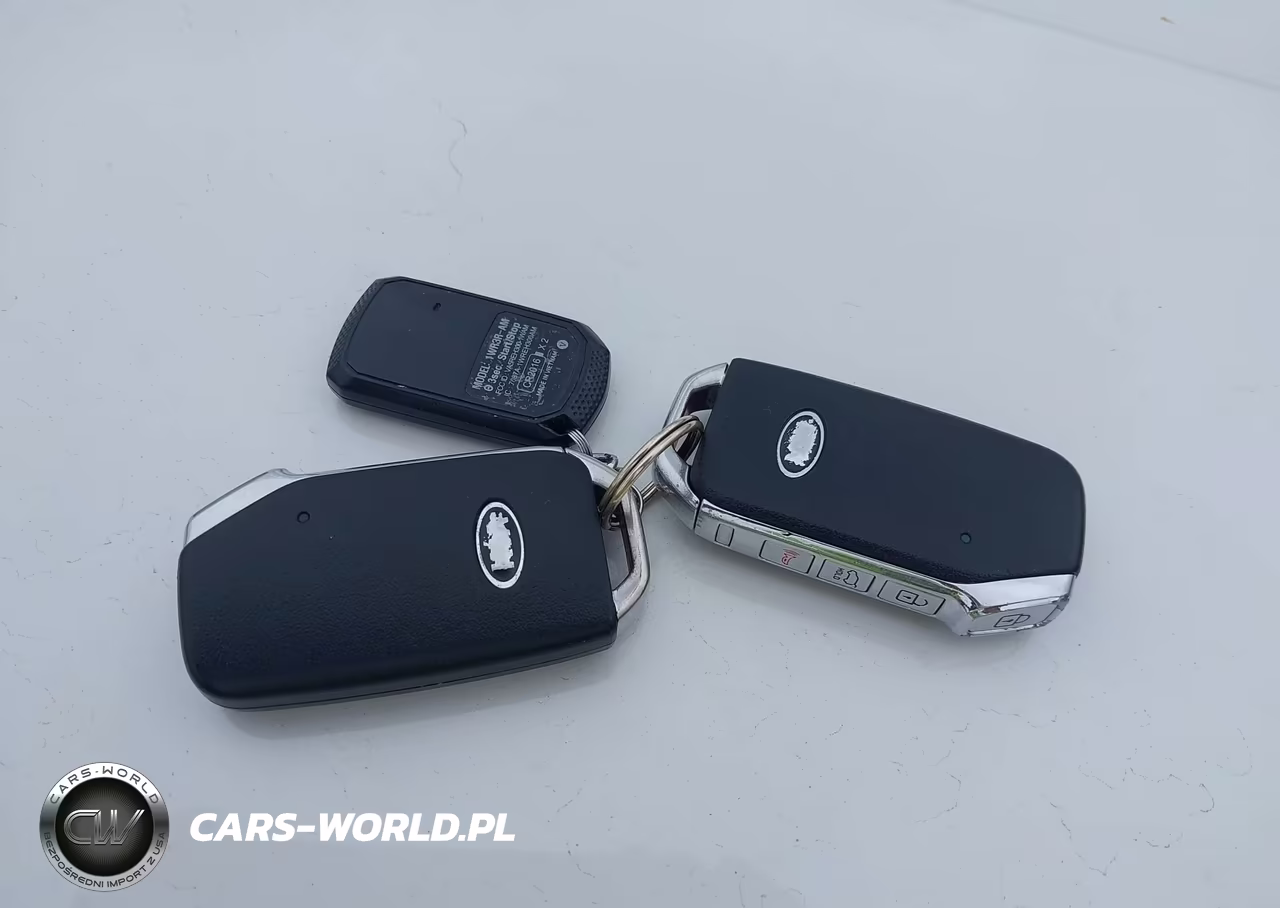 2020 Kia Telluride Ex VIN:5XYP3DHCXLG027698 - 11