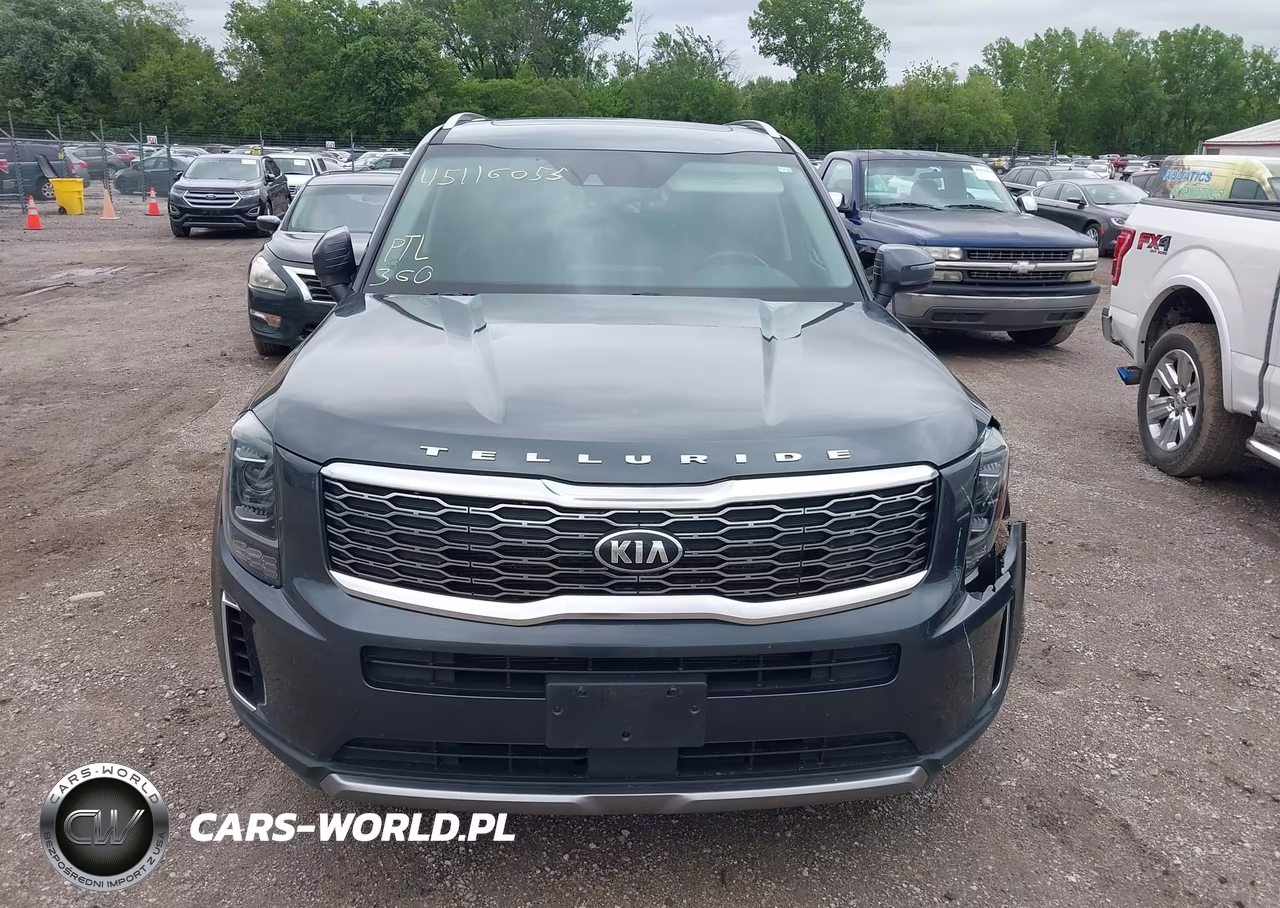 2020 Kia Telluride Ex VIN:5XYP3DHCXLG027698 - 12