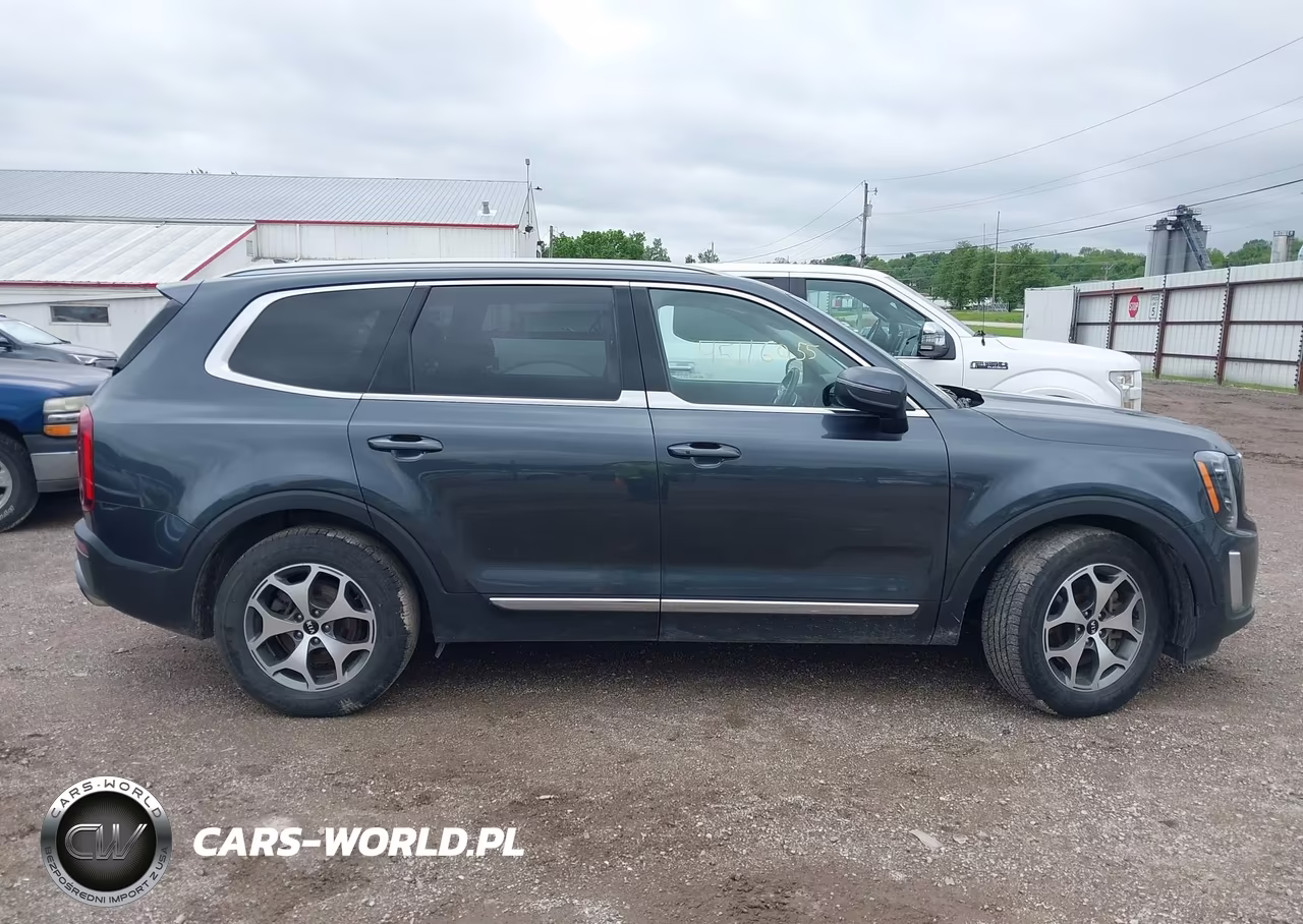 2020 Kia Telluride Ex VIN:5XYP3DHCXLG027698 - 13