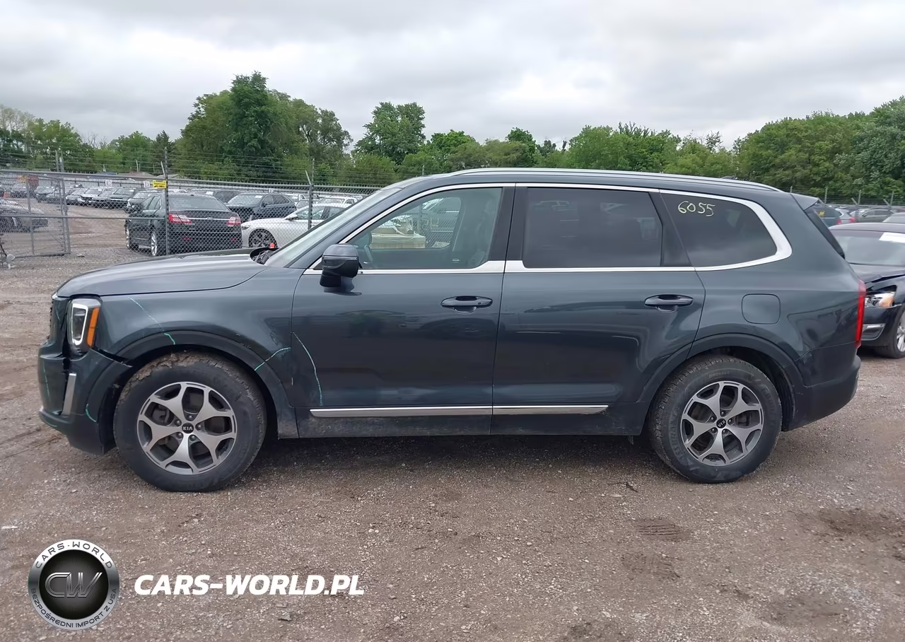 2020 Kia Telluride Ex VIN:5XYP3DHCXLG027698 - 14