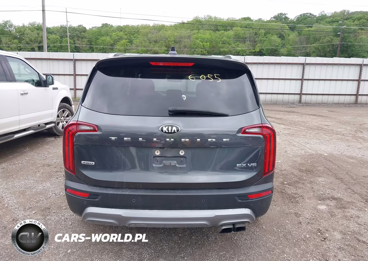 2020 Kia Telluride Ex VIN:5XYP3DHCXLG027698 - 16