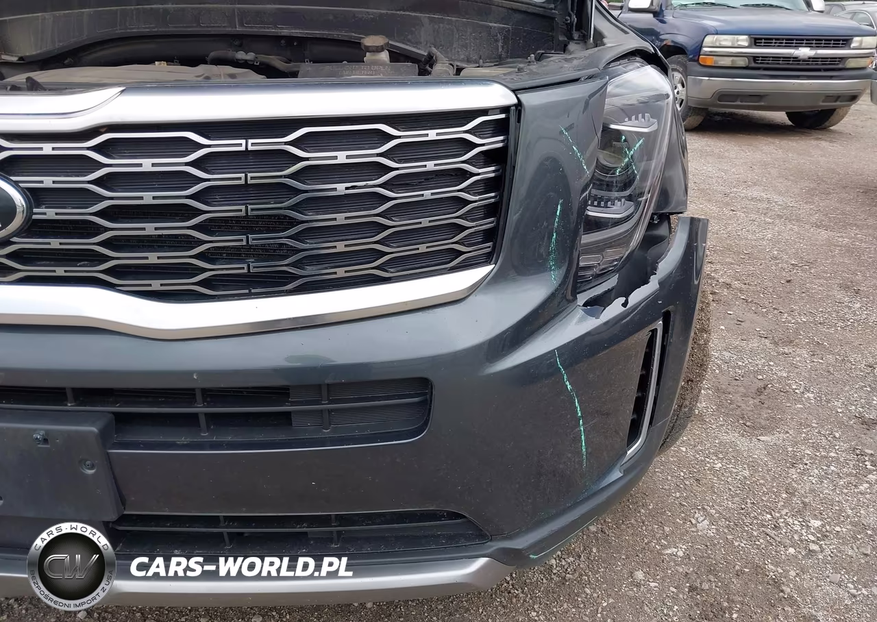 2020 Kia Telluride Ex VIN:5XYP3DHCXLG027698 - 17