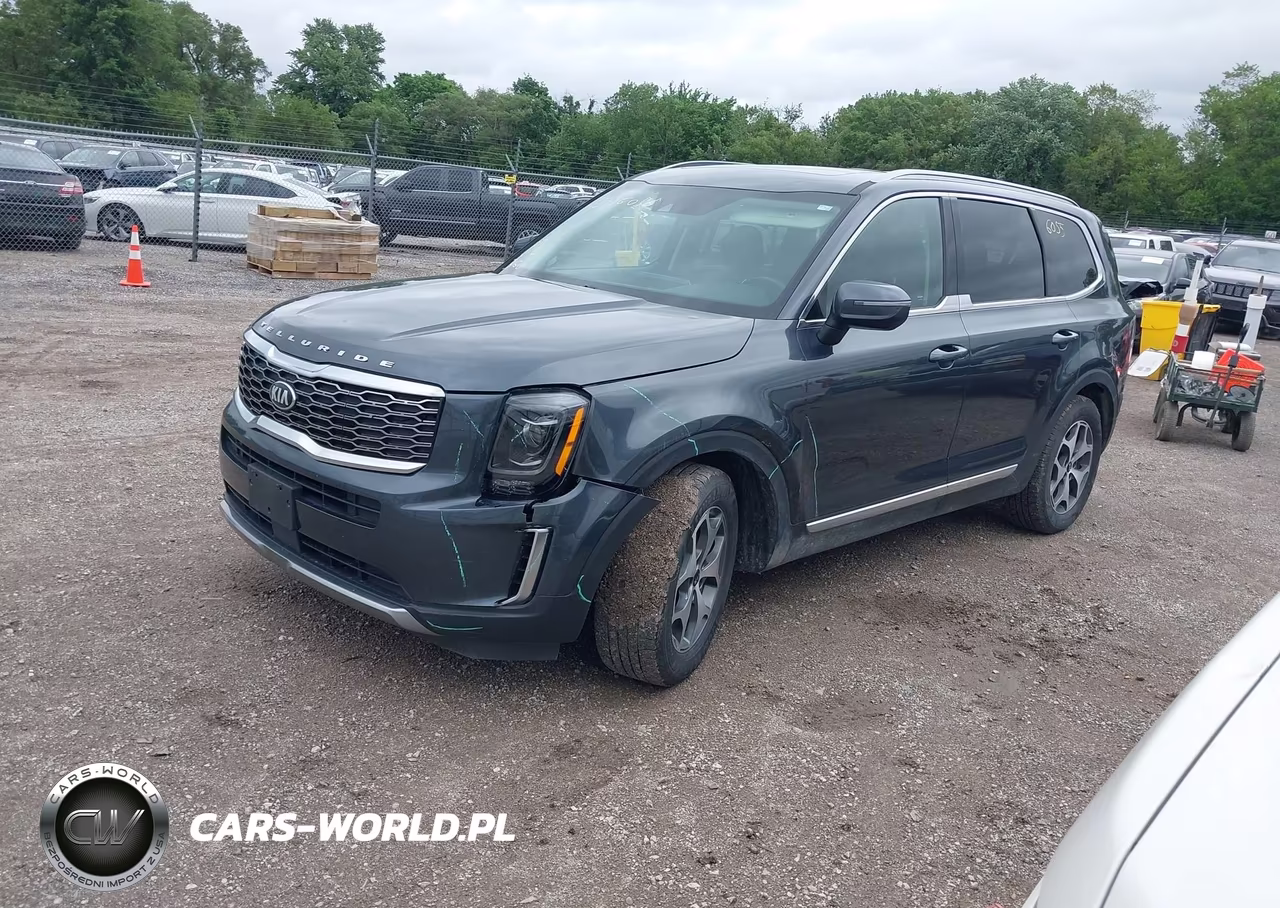 2020 Kia Telluride Ex VIN:5XYP3DHCXLG027698 - 2