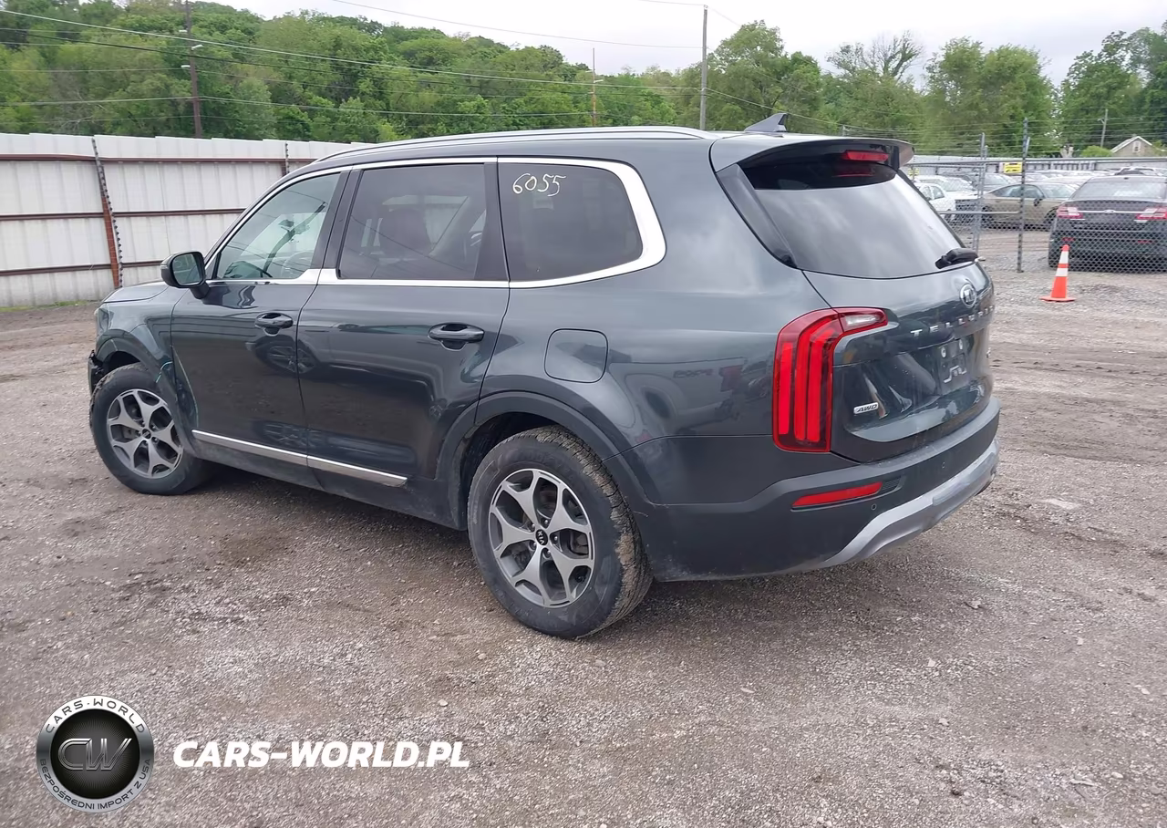 2020 Kia Telluride Ex VIN:5XYP3DHCXLG027698 - 3