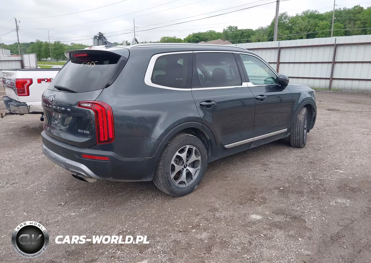 2020 Kia Telluride Ex VIN:5XYP3DHCXLG027698 - 4