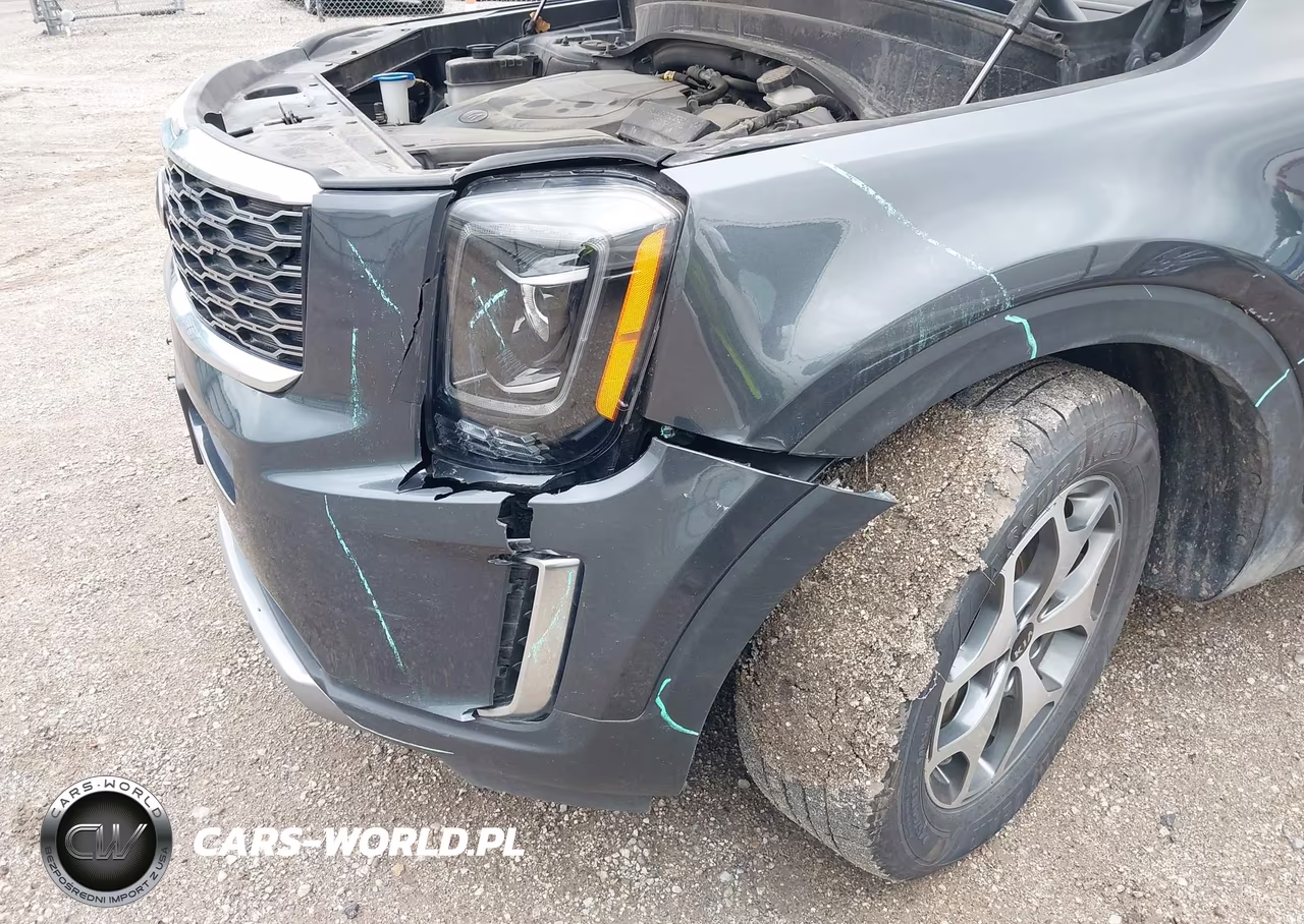 2020 Kia Telluride Ex VIN:5XYP3DHCXLG027698 - 6