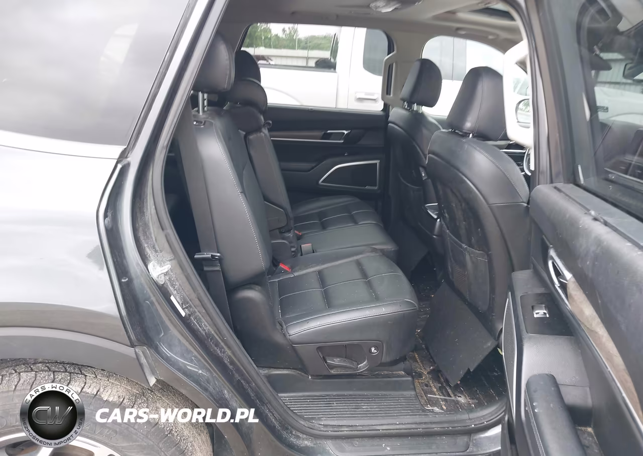 2020 Kia Telluride Ex VIN:5XYP3DHCXLG027698 - 8