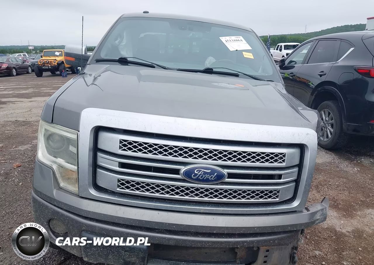 2013 Ford F-150 Platinum VIN:1FTFW1EF3DFA10603 - 13