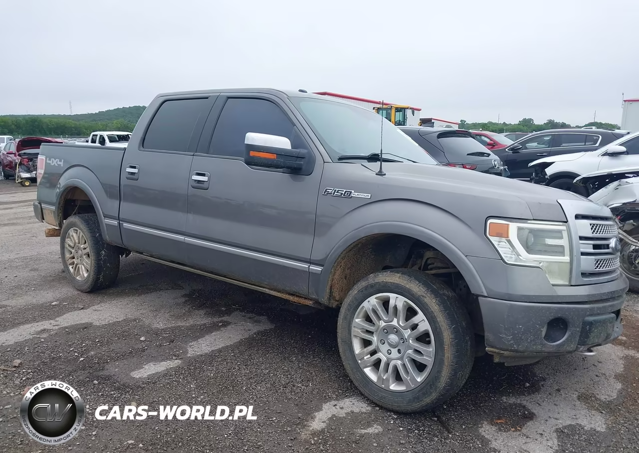 2013 Ford F-150 Platinum VIN:1FTFW1EF3DFA10603 - 14