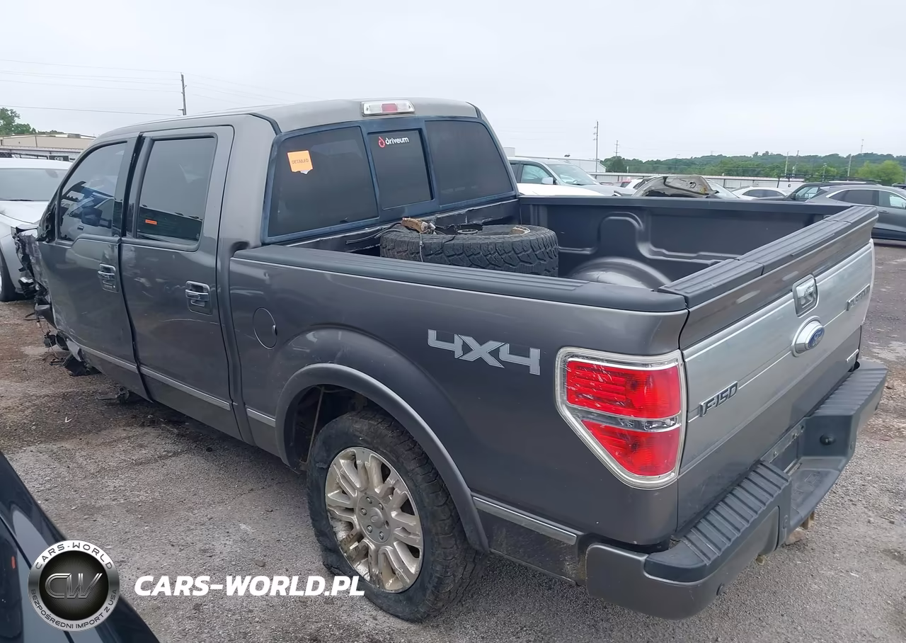 2013 Ford F-150 Platinum VIN:1FTFW1EF3DFA10603 - 15