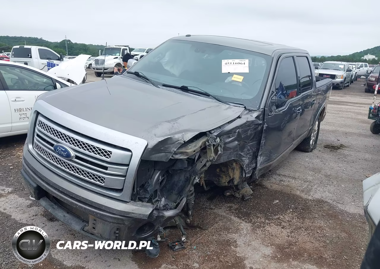 2013 Ford F-150 Platinum VIN:1FTFW1EF3DFA10603 - 2