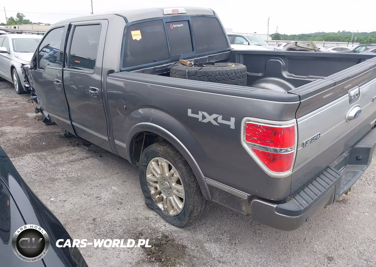 2013 Ford F-150 Platinum VIN:1FTFW1EF3DFA10603 - 3