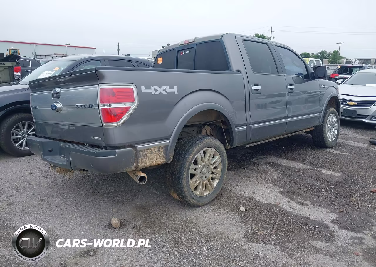 2013 Ford F-150 Platinum VIN:1FTFW1EF3DFA10603 - 4