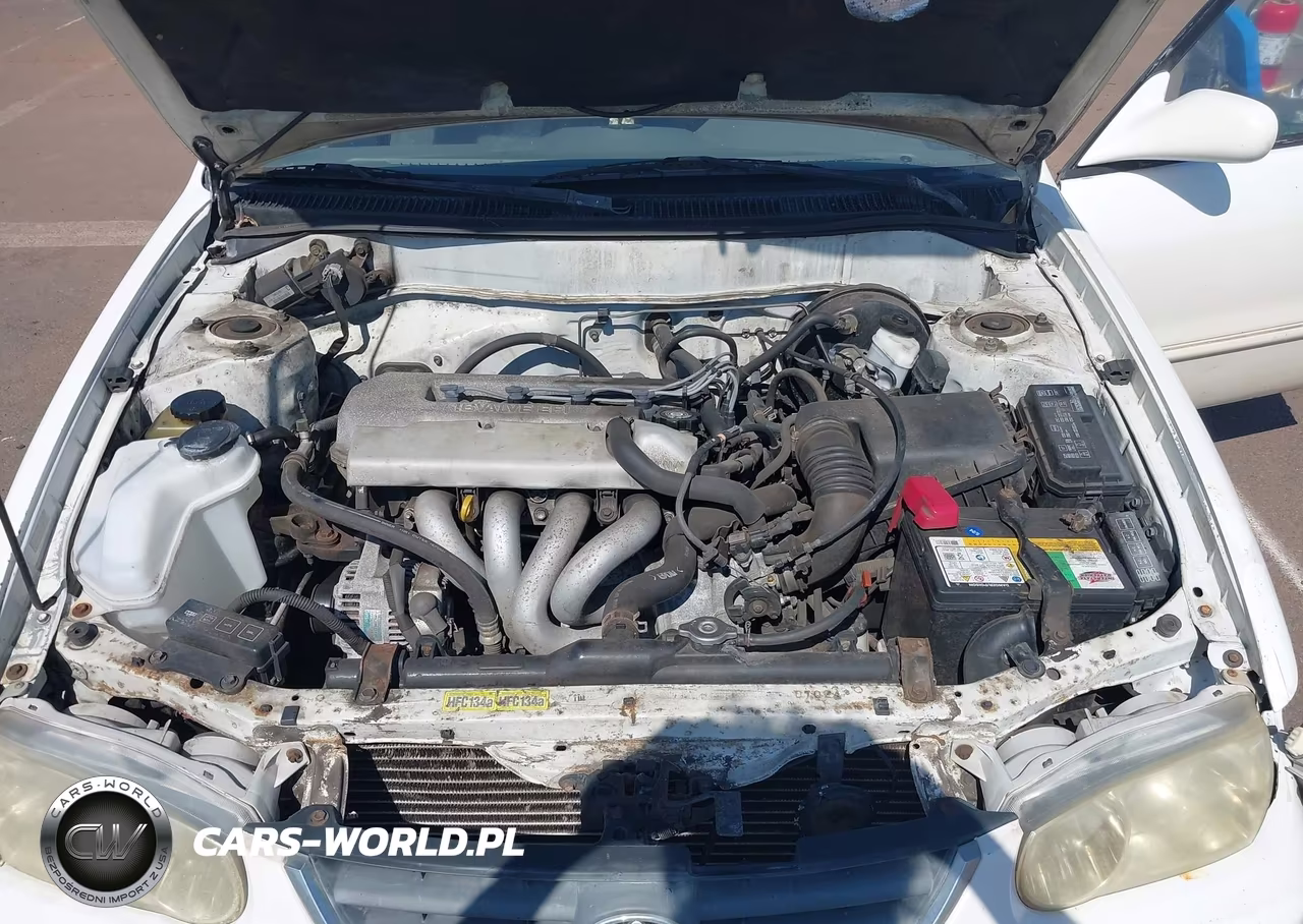 1998 Toyota Corolla Le VIN:1NXBR12E2WZ065717 - 10