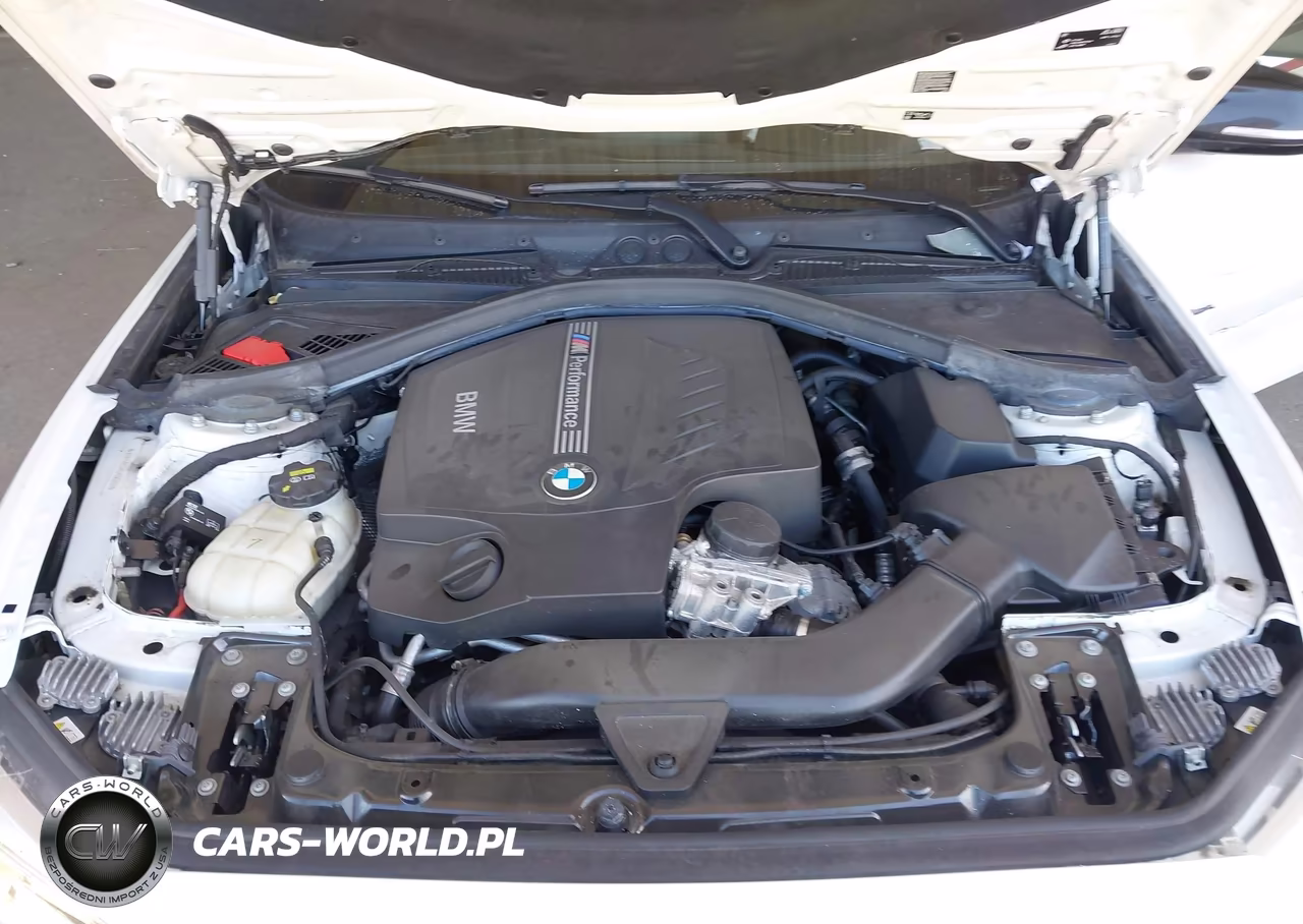 2016 BMW M235I xDrive VIN:WBA1J9C5XGV696258 - 10