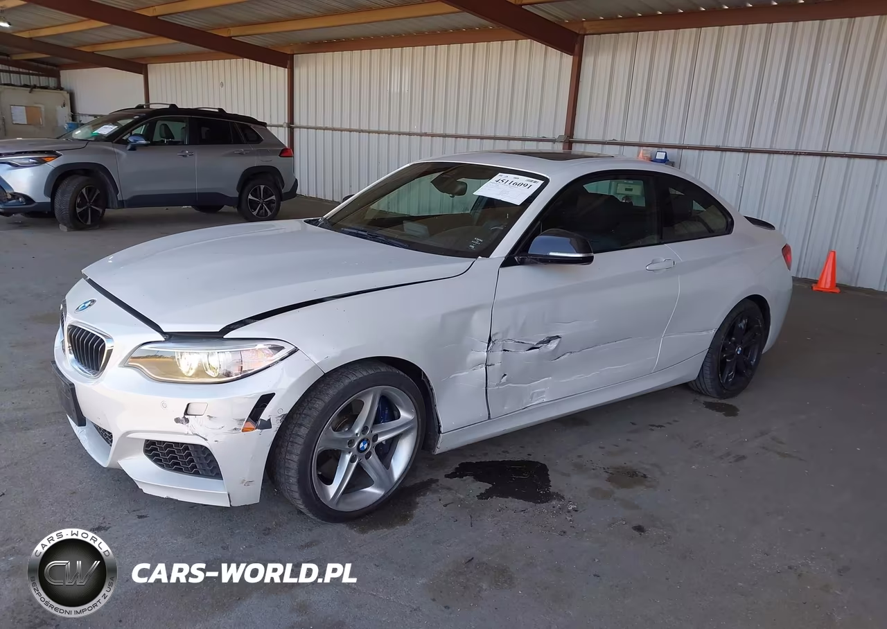 2016 BMW M235I xDrive VIN:WBA1J9C5XGV696258 - 2