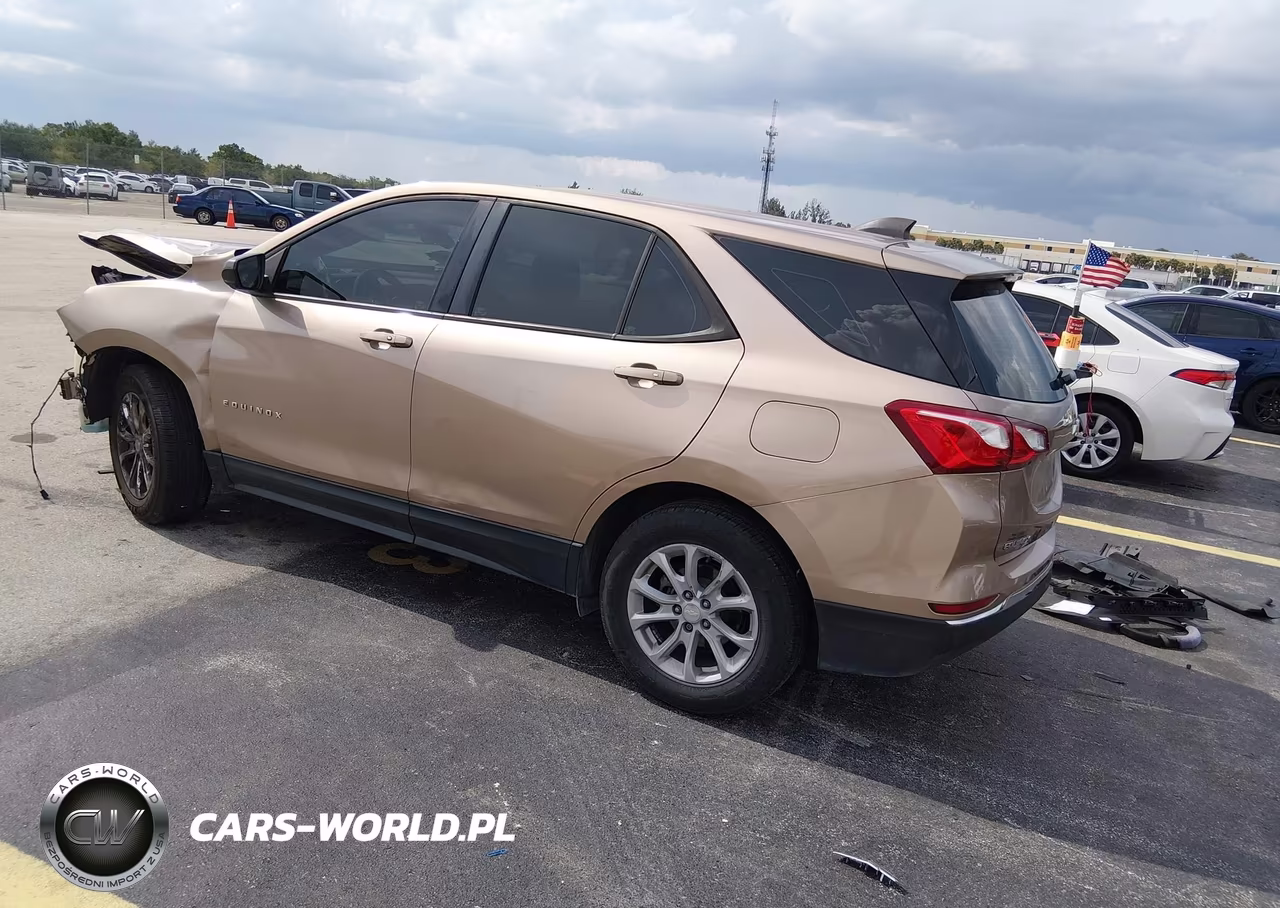 2018 Chevrolet Equinox Ls VIN:3GNAXHEV9JL264655 - 3