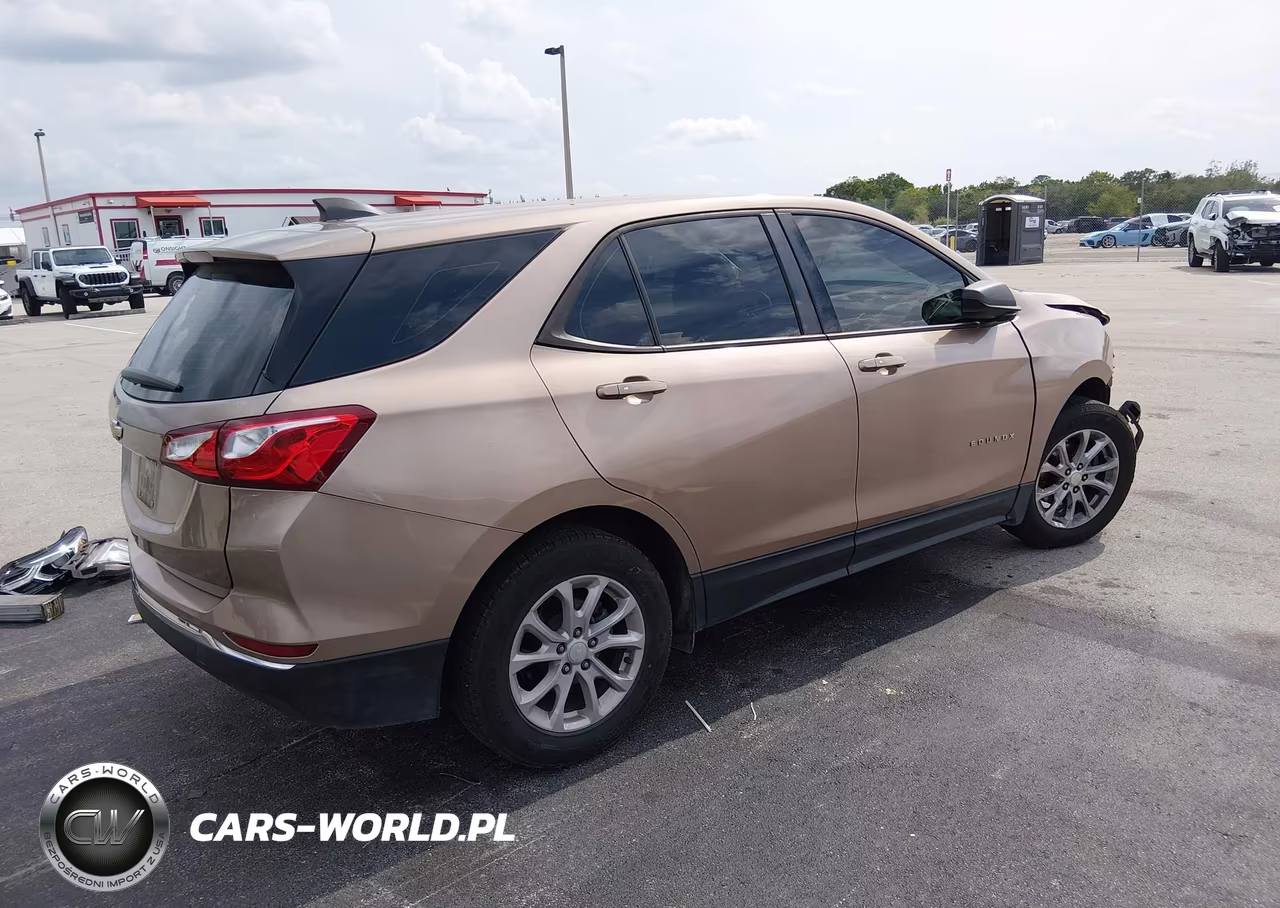 2018 Chevrolet Equinox Ls VIN:3GNAXHEV9JL264655 - 4