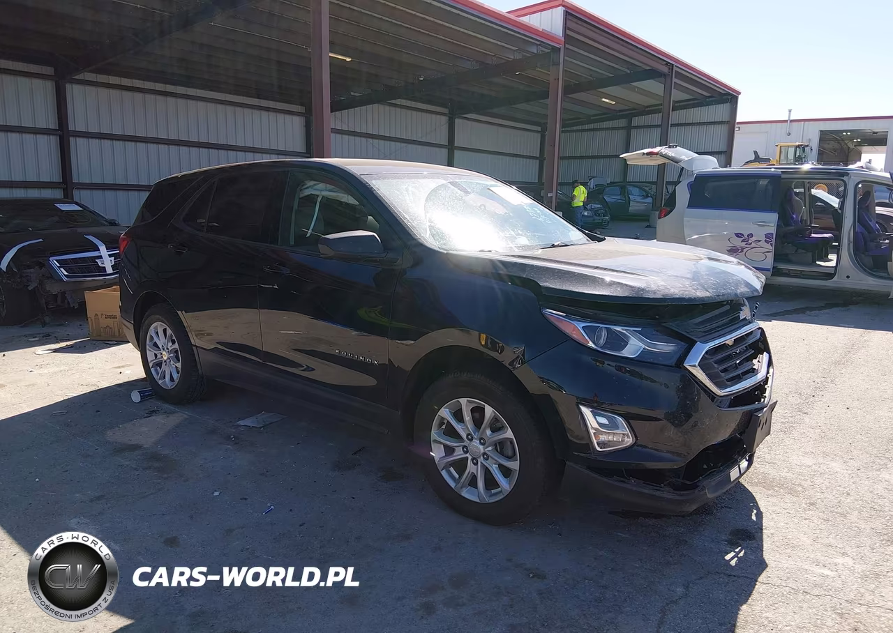 2019 Chevrolet Equinox Ls – zdjęcie 1 z 16