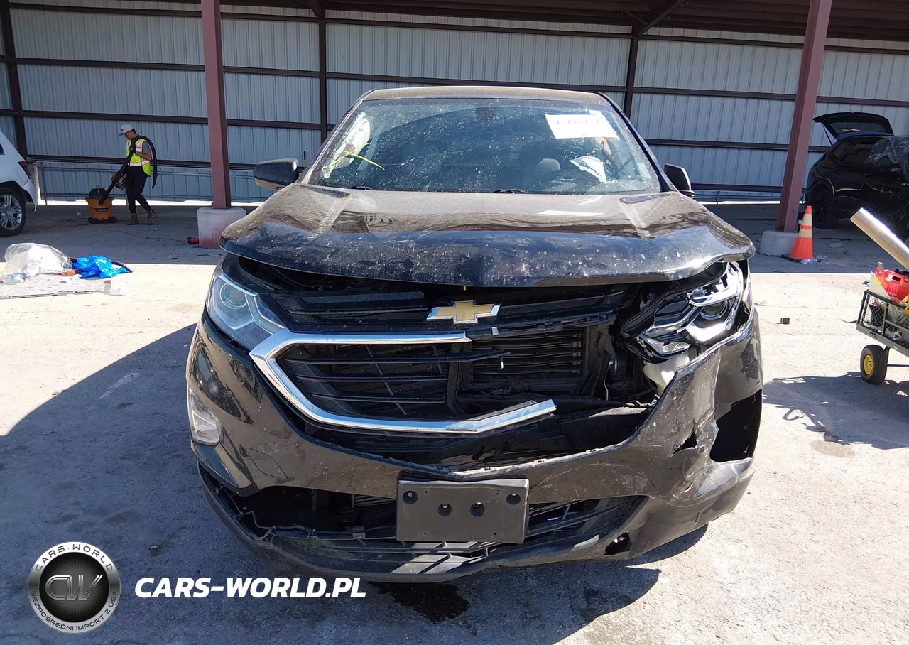 2019 Chevrolet Equinox Ls VIN:3GNAXSEV7KL217025 - 12